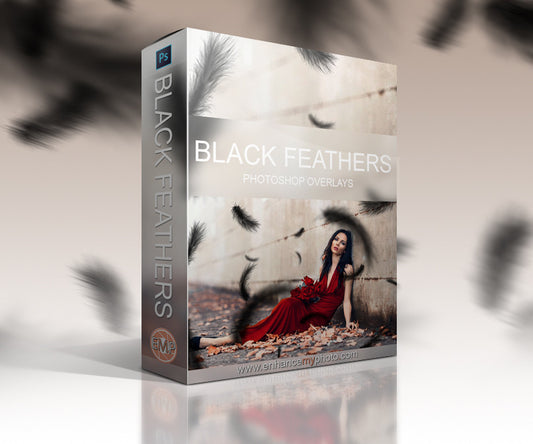 Black Feathers Overlays